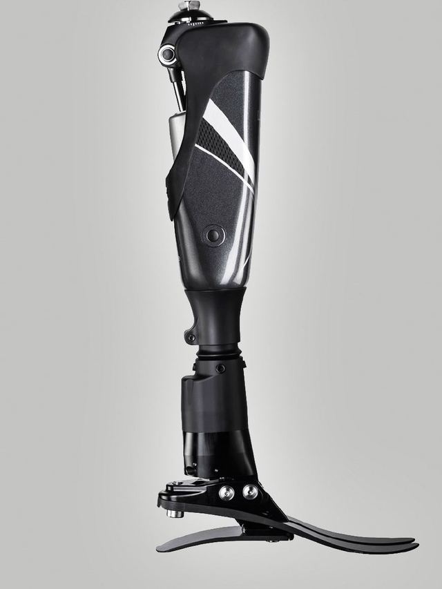 当寄居蟹穿上“定制新家” 3D打印假肢与矫形器如何为特殊动物伙伴带来新生